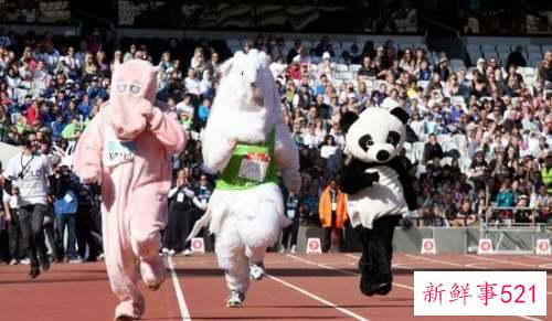 幼儿园运动会园长发言稿