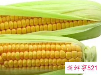 玉米的维生素含量高吗