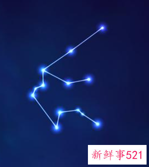 水瓶女对你有好感的表现