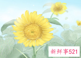 梦到被追杀最后逃脱