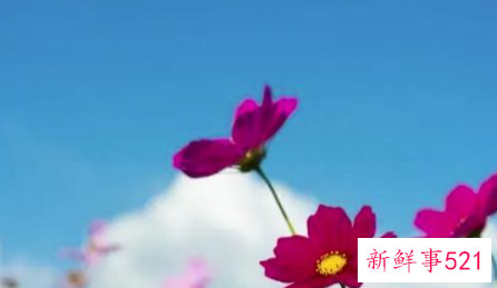 友谊性格不合的两个人