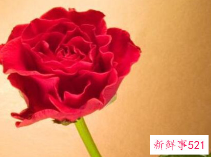 女生能记一辈子的礼物1000元以内