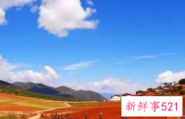 51适合去哪旅游