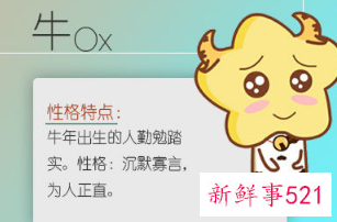 属牛适合什么行业