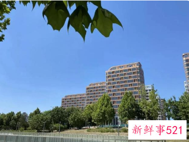 怎么申请冬奥村人才公租房