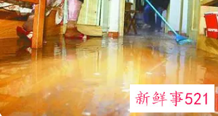 梦见家里很多水是什么意思