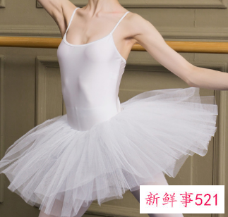 十二星座芭蕾舞鞋和裙子