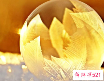 团队早安问候语正能量有哪些