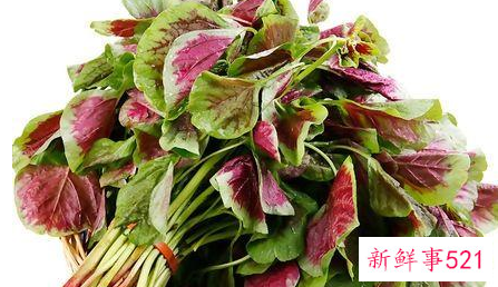 蔬菜维生素C素排行榜