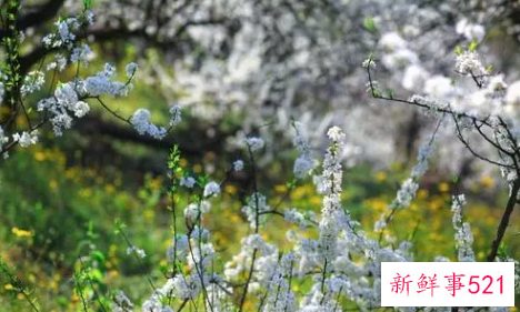 梦见漂浮有什么征兆