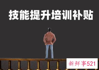 技能补贴怎么查询到账