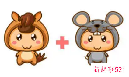 属马女的和属鼠男的配吗