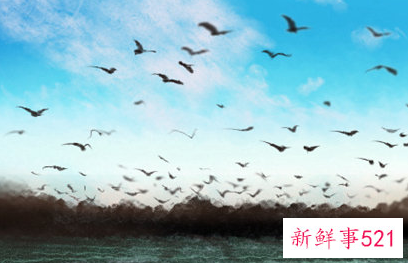 双鱼座适合什么样的工作