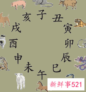 婆家不敢惹的生肖女