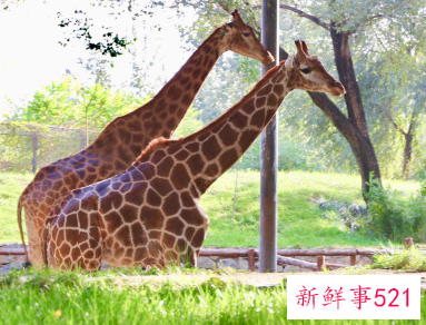 北京周边自驾游