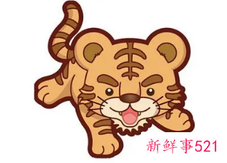 属虎的人2022年适合装修吗