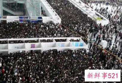 大学生就业表怎么填写