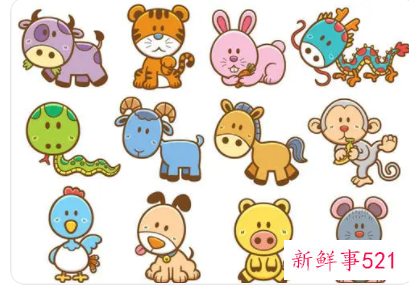 12生肖男的真爱给了谁