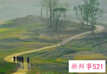 女人梦见自己的故乡