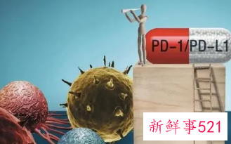 国产PD-1出海“闯关”FDA受挫