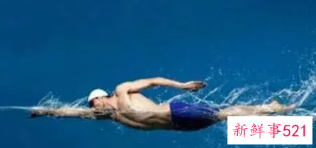 自由泳的正确姿势