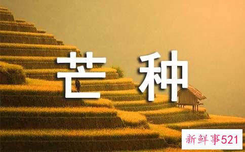 芒种时节养生食物