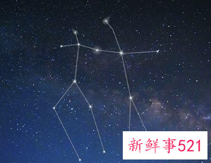 什么星座比较文静