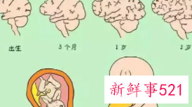 儿童7—12岁大脑发育如何锻炼