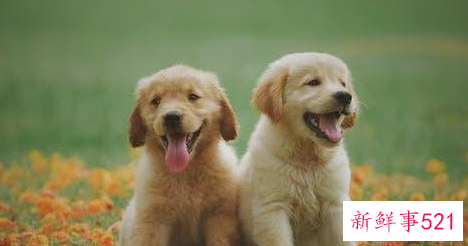 让喜欢的人爱上你的方法