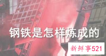 钢铁是怎样炼成的读后感200字