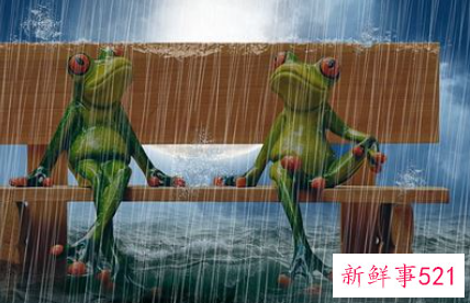 梦见下暴雨是什么征兆