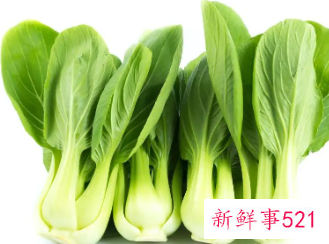 各种青菜大全图片