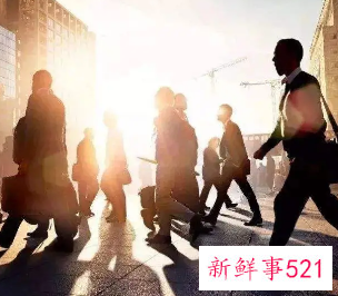 出纳违反财经纪律检讨书