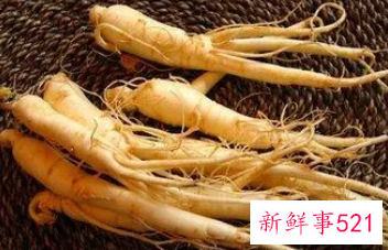 哪些人不能吃人参