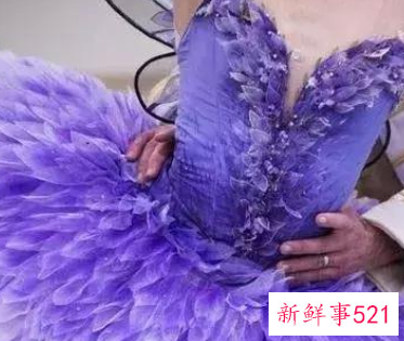 十二星座芭蕾舞鞋和裙子