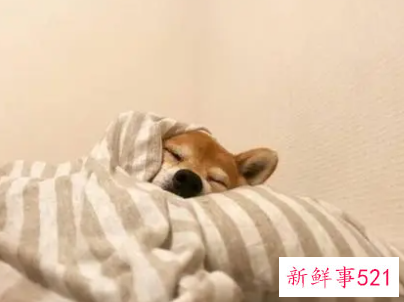 冬天早上怎样不赖床