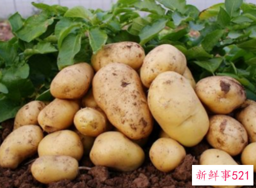 术后贫血要注意什么