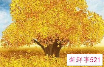 顺利好运的微信网名女