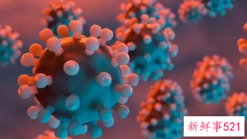 艾滋病24小时自救方案