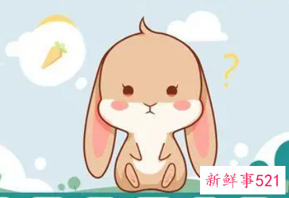 属兔的超级贵人小人2022年