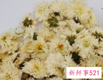 贡菊花和胎菊花的区别