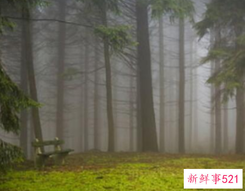 最感动男人的话