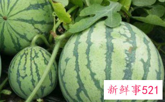 夏天去外面吃什么好