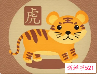 属虎女感情运势