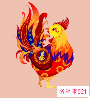 生肖鸡适合发展的城市