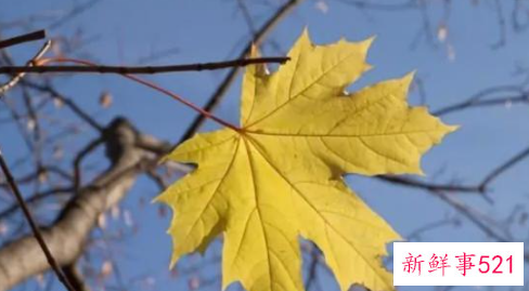 友谊性格不合的两个人