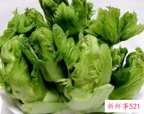 吃抱子芥的好处