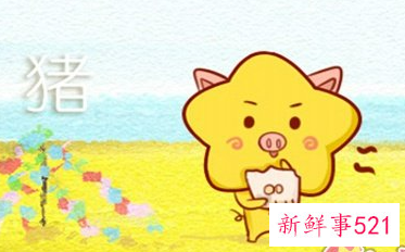 猪和虎相配婚姻如何