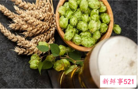 啤酒花有什么功效作用