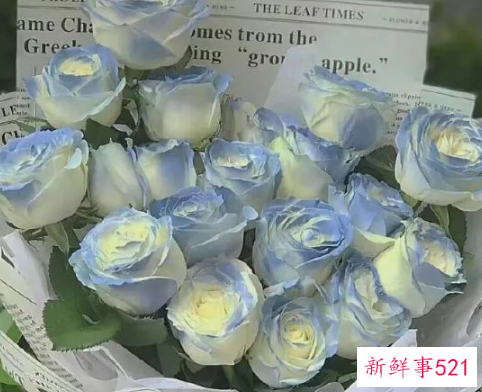 主动去找女生会不会反感